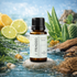 Recargas de Esencias para Auto Fraggo 10 ml 6 Aromas