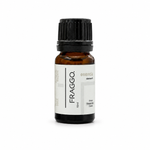 Recargas de Esencias para Auto Fraggo 10 ml 6 Aromas
